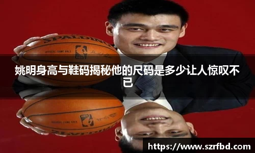 姚明身高与鞋码揭秘他的尺码是多少让人惊叹不已